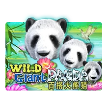 Joker123 : Wild Giant Panda - SPONSOR777