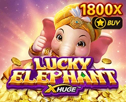 Lucky Elephant X-Huge - SPONSOR777