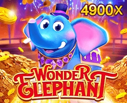 Wonder Elephant - SPONSOR777