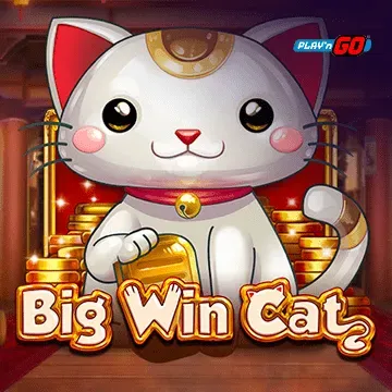 Big Win Cat - SPONSOR777