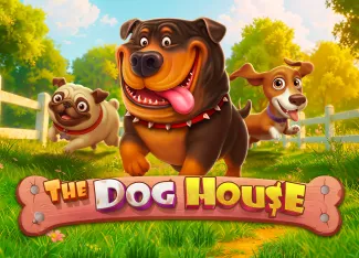 Pragmatic : The Dog House - SPONSOR777